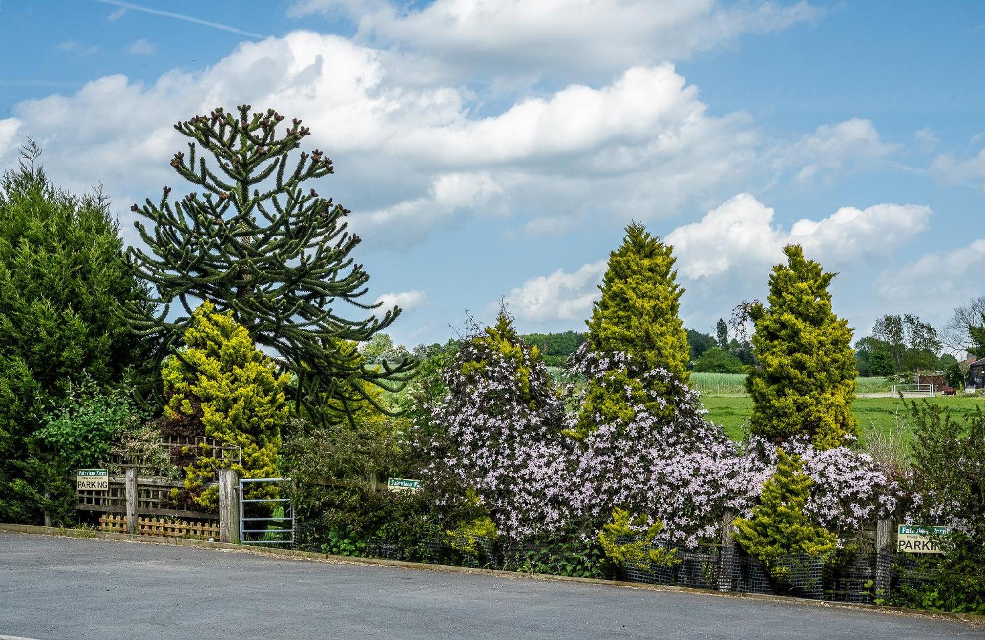 Upside Down House - Sleeps Up To 6 Guests - Great For Family And Friends Gatherings,Corporate Events ,Near Sherwood Forest At Fairview Farm In Nottingham Set In 88 Acres Kültér fotó